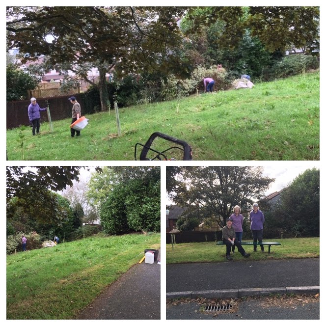 Collage showing volunteers at work in the meadow